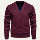 The Murano Men's Slim Fit Knitted Button-Up V-Neck Sweater